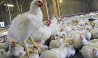 Beyaz et sektöründe ihracat endişesi