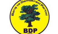 BDP'nin Diyarbakır adayı belli oldu.