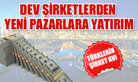 Türklerin yurtdışında şirket avı
