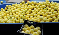 Temmuz'da en çok limonun fiyatı arttı