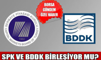 Ankara bunu konuşuyor: BDDK ve SPK birleşiyor