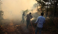 Şile'de orman yangını
