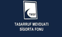 TMSF 100 milyon dolar ödedi