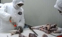 Ayrıştırılmış etler Rusya pazarına