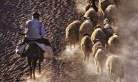 Çobanlar için teşvik
