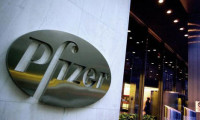 Pfizer'dan 17 milyar dolarlık satın alma