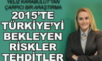 2015 Türkiye için nasıl bir yıl olacak