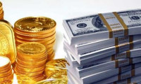 Altın, dolar ve euroda son durum