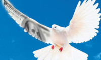 'Talih Kuşu'nun dolar talihsizliği