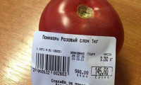 Ruslar domatesin tanesini 6 TL'den yiyor