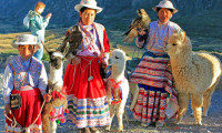 Rus turiste alternatif Şili ve Peru'dan