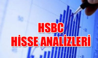 HSBC'den 5 hisse analizi