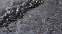 Peru sahilleri petrol sızıntısı nedeniyle siyaha büründü