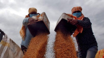 Hindistan limanlarındaki buğdayın çıkışına izin vermeyi planlıyor