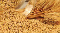 Buğday fiyatlarındaki yükselişin sona ermesi bekleniyor