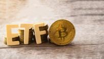 Bitcoin ETF'lerine rekor sermaye girişi