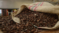 Kakao fiyatlarında 46 yılın rekoru