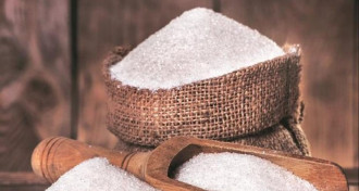 Hindistan'dan şeker ihracatına kota