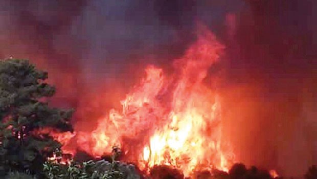 Adrasan yangını Antalya ekonomisini vurdu