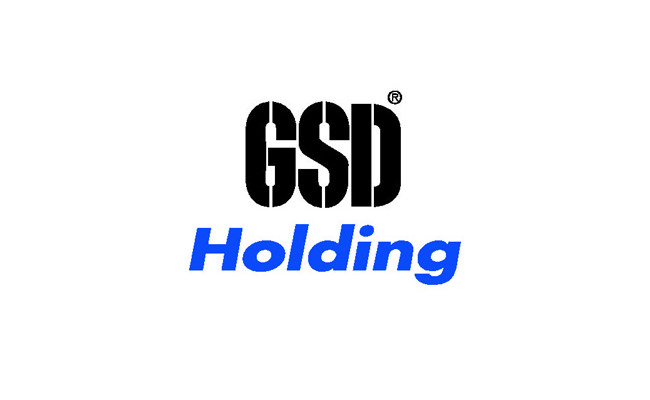 GSD Holding'den ek hisse alım başvurusu