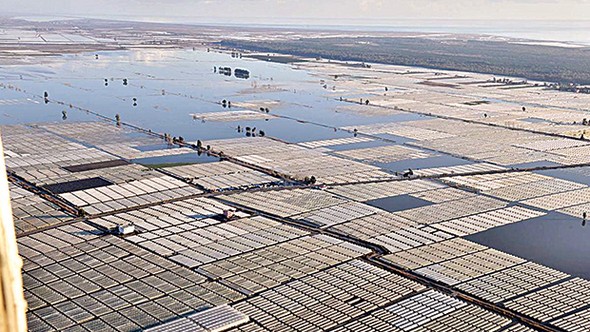 Mersin'de sel tarıma büyük darbe vurdu