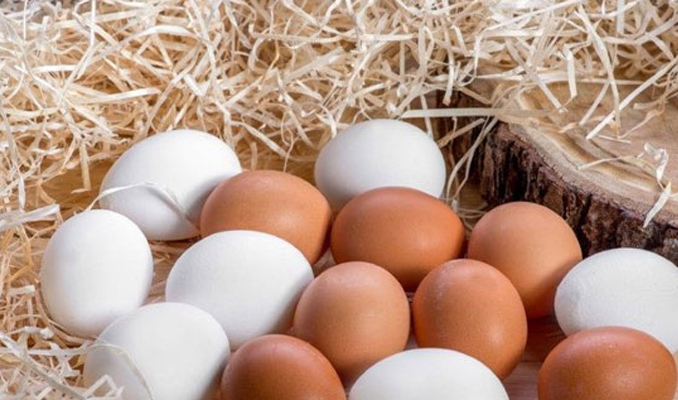 Yumurta fiyatları rekor kırdı