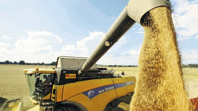Buğday ithaline Ukrayna ile çözüm arayışı