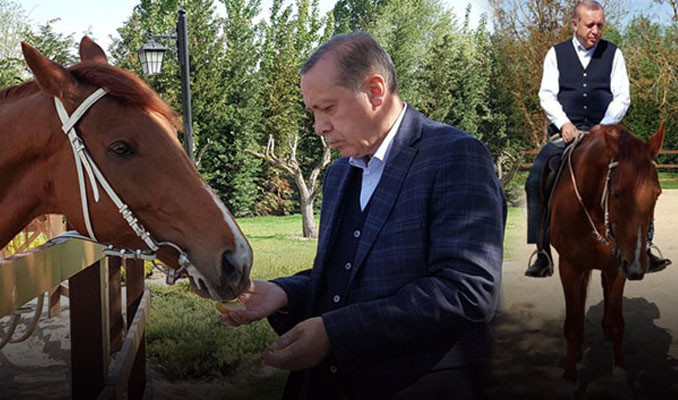 Cumhurbaşkanı Erdoğan’ın at sevgisi