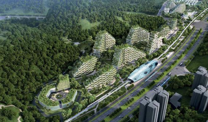 Çin ilk orman kentini inşaya hazırlanıyor