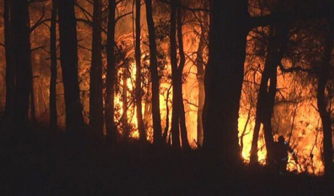 İzmir’deki orman yangını söndürülemiyor! 2 bin kişi tahliye edildi