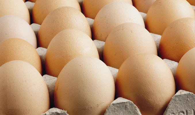 Yumurta ihracatı 11 yılda 21 kat arttı