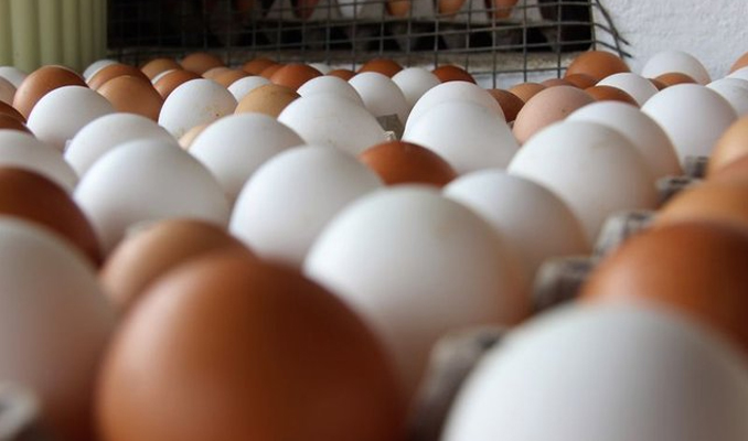 Avrupa'daki yumurta krizi Türkiye'ye yaradı