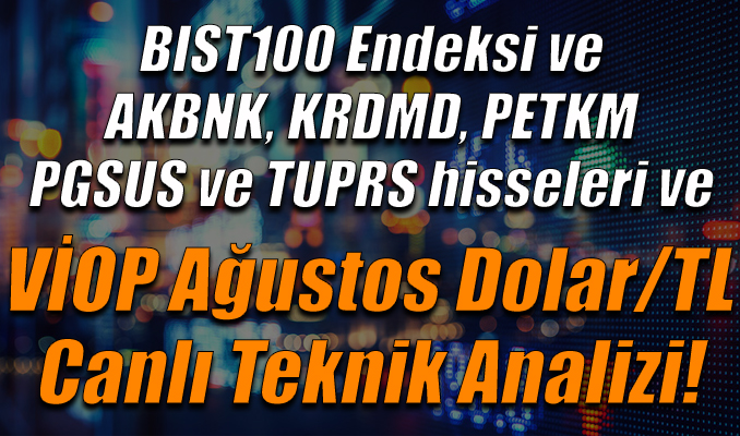 BIST100 Endeksi ve AKBNK, KRDMD, PETKM,PGSUS,TUPRS hisseleri ve VİOP Ağustos Dolar/TL Teknik Analizi