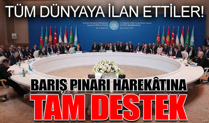 Türk Konseyi'nden Barış Pınarı Harekâtına tam destek!
