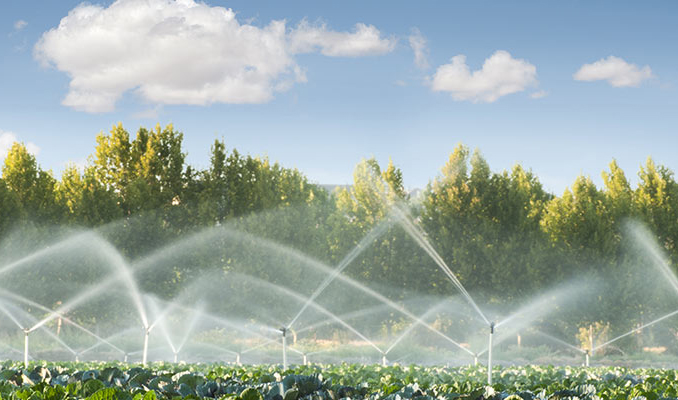 Modern sulama tarımda verimliliği artırıyor