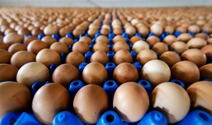 Irak’ın yumurta ithalatı yasağı delindi mi?