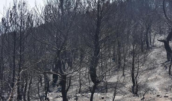 İşte Karabağlar'daki yangından geriye kalan
