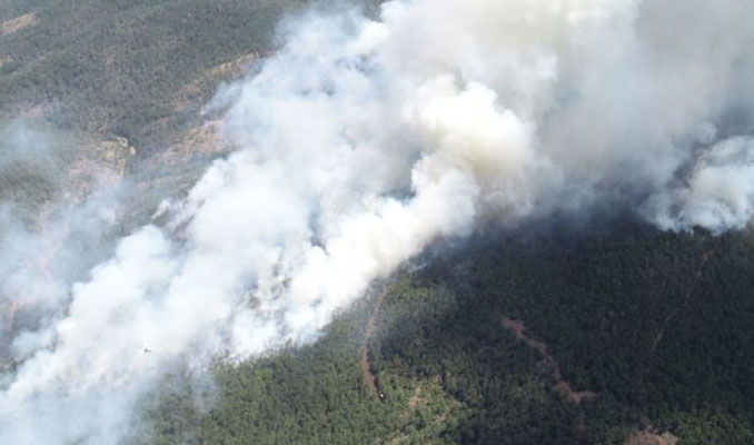 Bursa'daki orman yangını kısmen kontrol altında