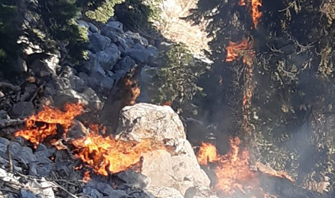 Kahramanmaraş'ta orman yangını