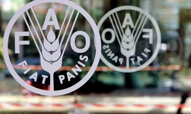 FAO: Küresel gıda fiyatları yükseldi