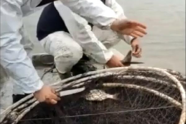 Yasa dışı avlanan 2 ton balık suya bırakıldı