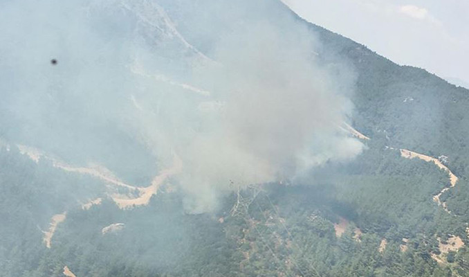 Menderes'te yine orman yangını