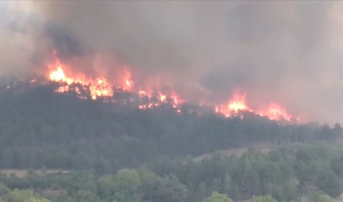 Ankara'nın Nallıhan ilçesinde orman yangını çıktı