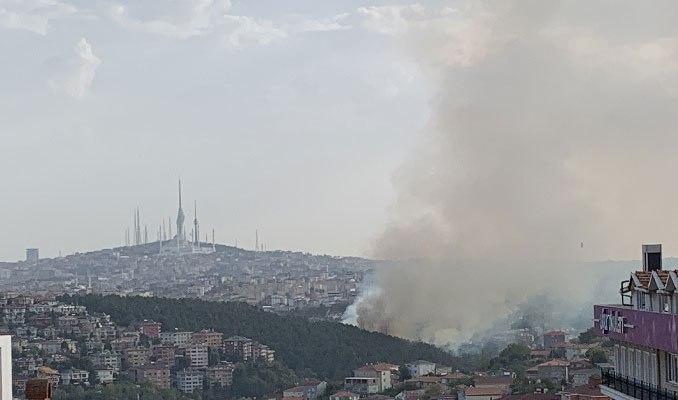 Beykoz'da orman yangını kontrol altına alındı