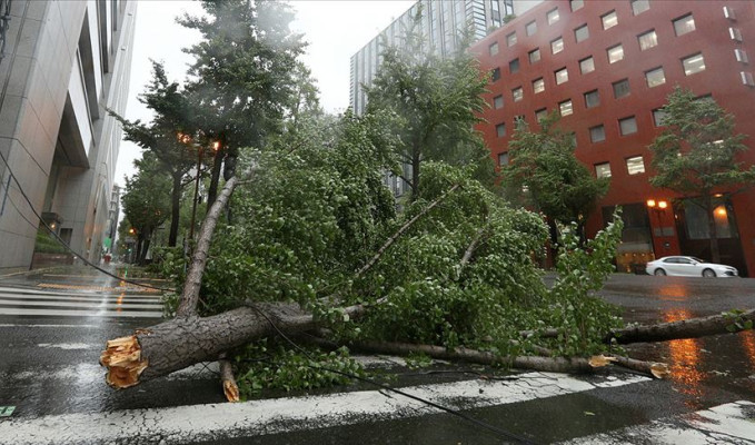 Japonya'da Haişen tayfunu şoku