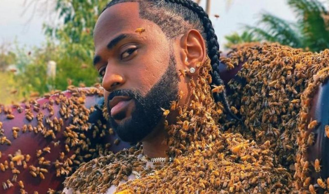 Ünlü rapçi yeni şarkısı için 65 bin arıyla poz verdi