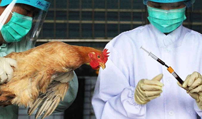 Çin’de H5N6 tipi kuş gribi vakası görüldü