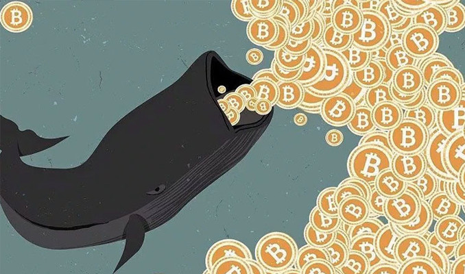 Bitcoin balinaları 'dipten' topladı