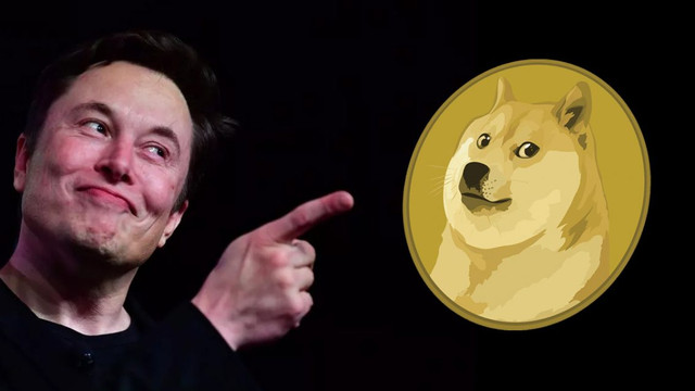 Elon Musk'tan Dogecoin ve kripto para uyarısı