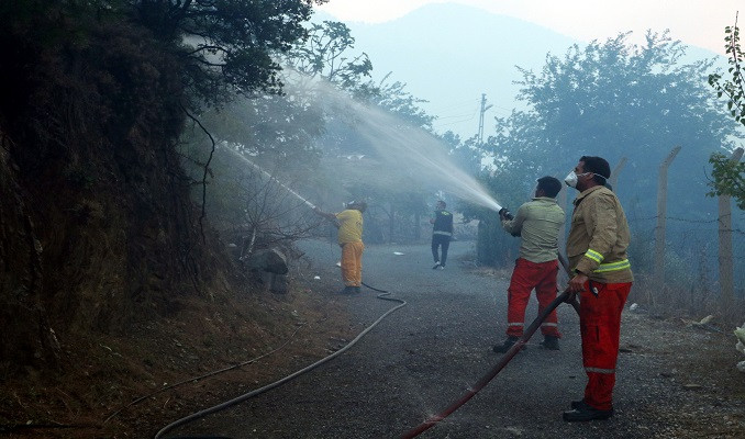 Adana’da 4 ilçedeki 6 noktada orman yangını sürüyor